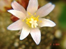 DSC07940