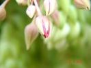 DSC07950