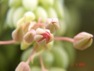DSC07952