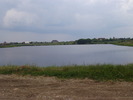 Picture 229