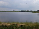 Picture 230