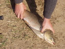 P9300444