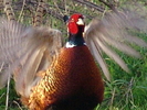 DSC02364