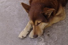 DSC02389