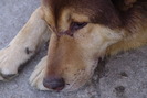 DSC02390