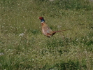 DSC02404