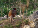 DSC02407