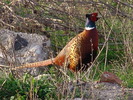 DSC02408