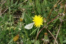 DSC02418