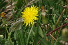 DSC02421