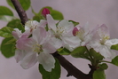 DSC02424
