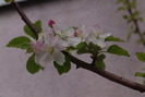 DSC02426