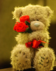 14192285_YTCHIMEOH