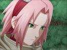 Sakura_Haruno_467_by_SLIPKNOT31666