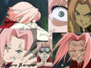 Sakura_Haruno_by_Shonso_by_Protect_Sakura_Club
