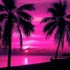 poze-dragoste_paradis-romantic-roz-150x150