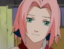 sakura12