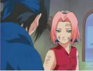 sakura648