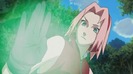 SakuraMovie2a