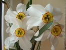 DSC00283