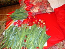 DSC00304