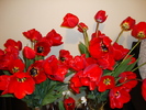 DSC00306