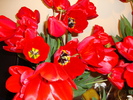 DSC00307