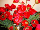 DSC00308