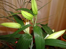 DSC00310