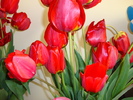 DSC00320