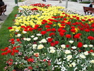 DSC00327
