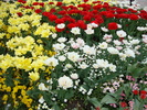 DSC00330