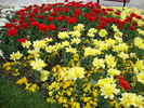 DSC00331