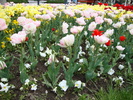 DSC00332