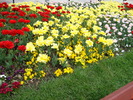 DSC00333