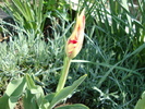 DSC00340