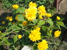 DSC00343