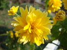 DSC00344