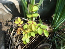 DSC00347