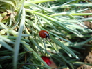 DSC00348