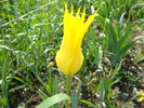 DSC00350