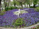 DSC00362