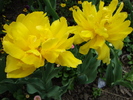 DSC00366