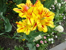 DSC00368
