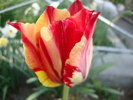 DSC00389