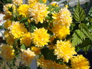 DSC00396