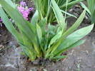 DSC00397