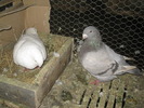 IMG_3852