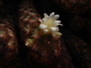 DSC08009