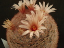 DSC08020